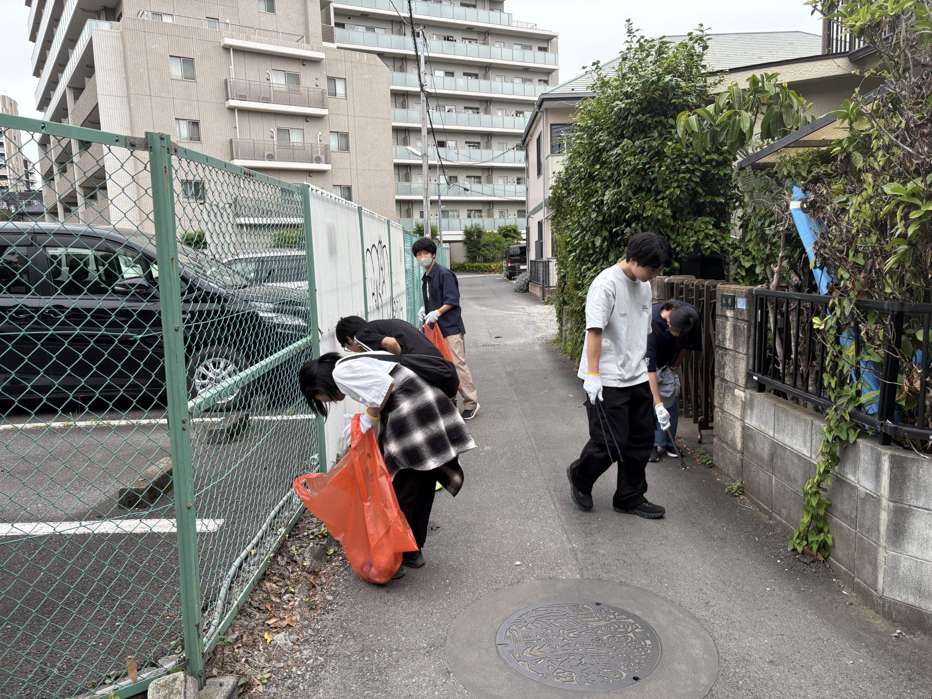 画像 -20260530-233721-b2cbfbc3